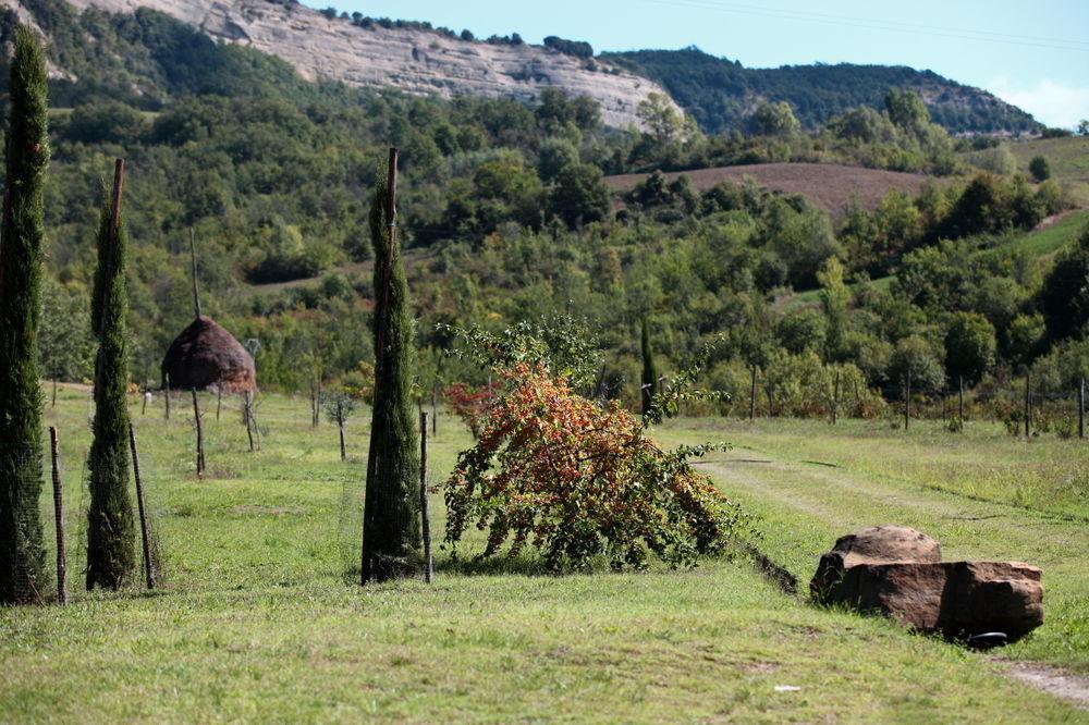 Locanda Dei Cinque Cerri Сассо-Маркони Экстерьер фото